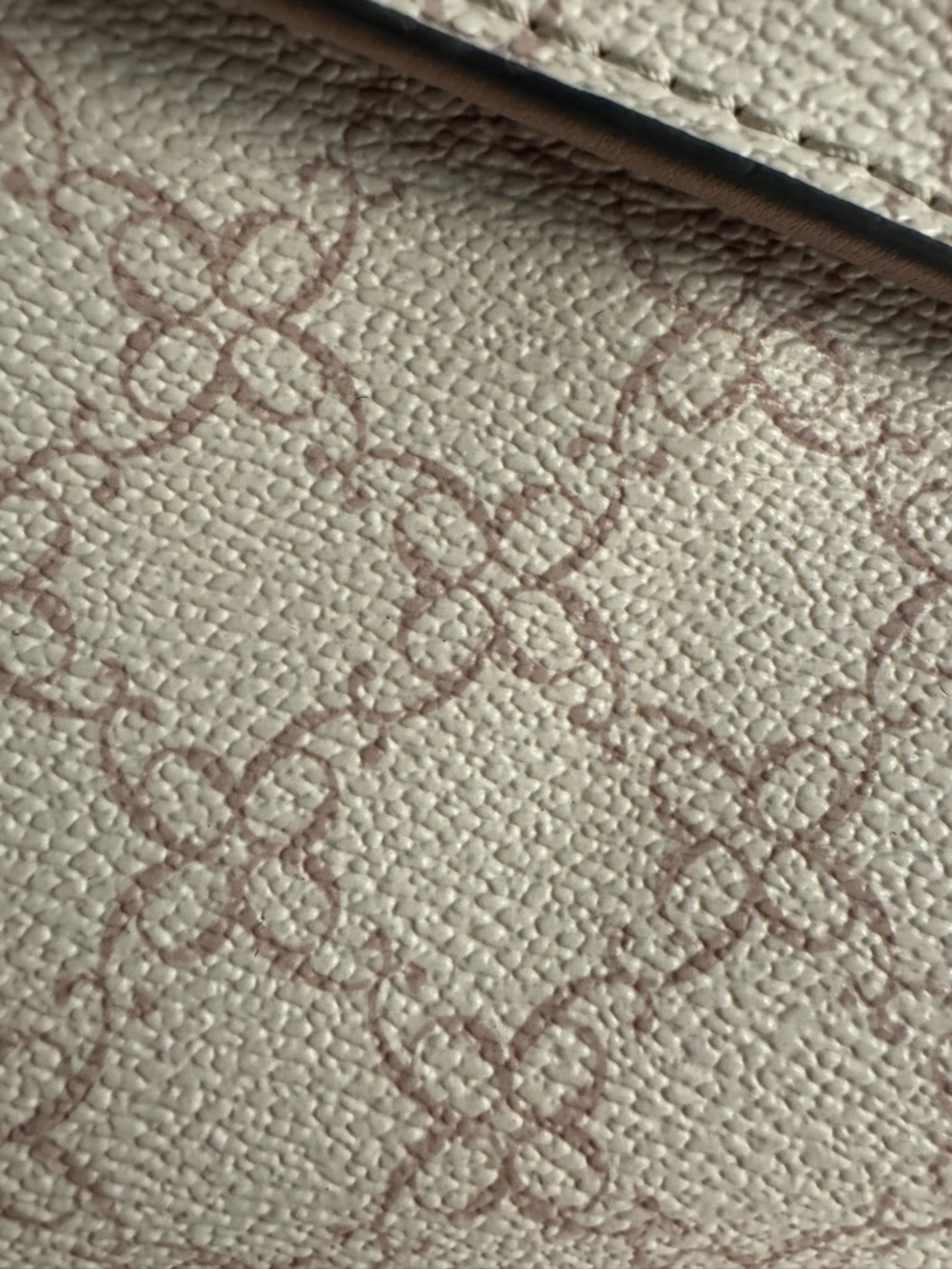 Y2K Neutral Monogrammed Canvas Crossbody or Tote Detail